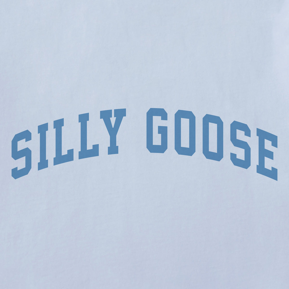 Women's Silly Goose Arch Short Sleeve Crusher Boxy Tee product image 2