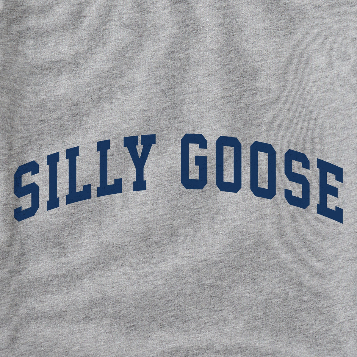 Men's Silly Goose Arch Short Sleeve Crusher Tee product image 2