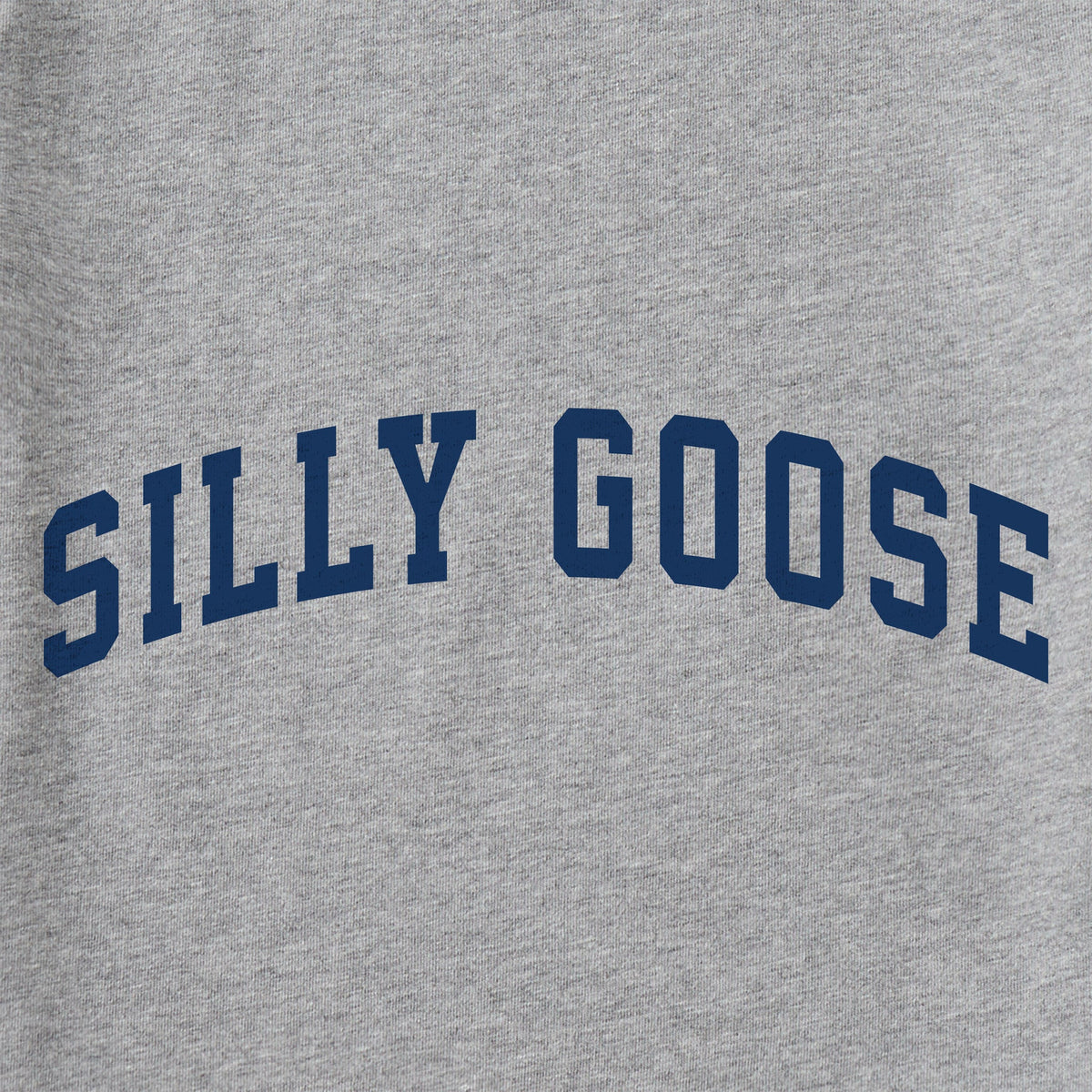 Women's Silly Goose Arch Short Sleeve Crusher Tee product image 2