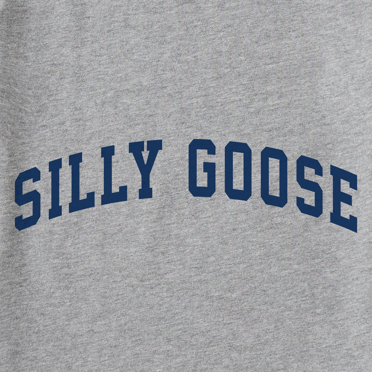 Kids Silly Goose Arch Long Sleeve Crusher Tee product image 2