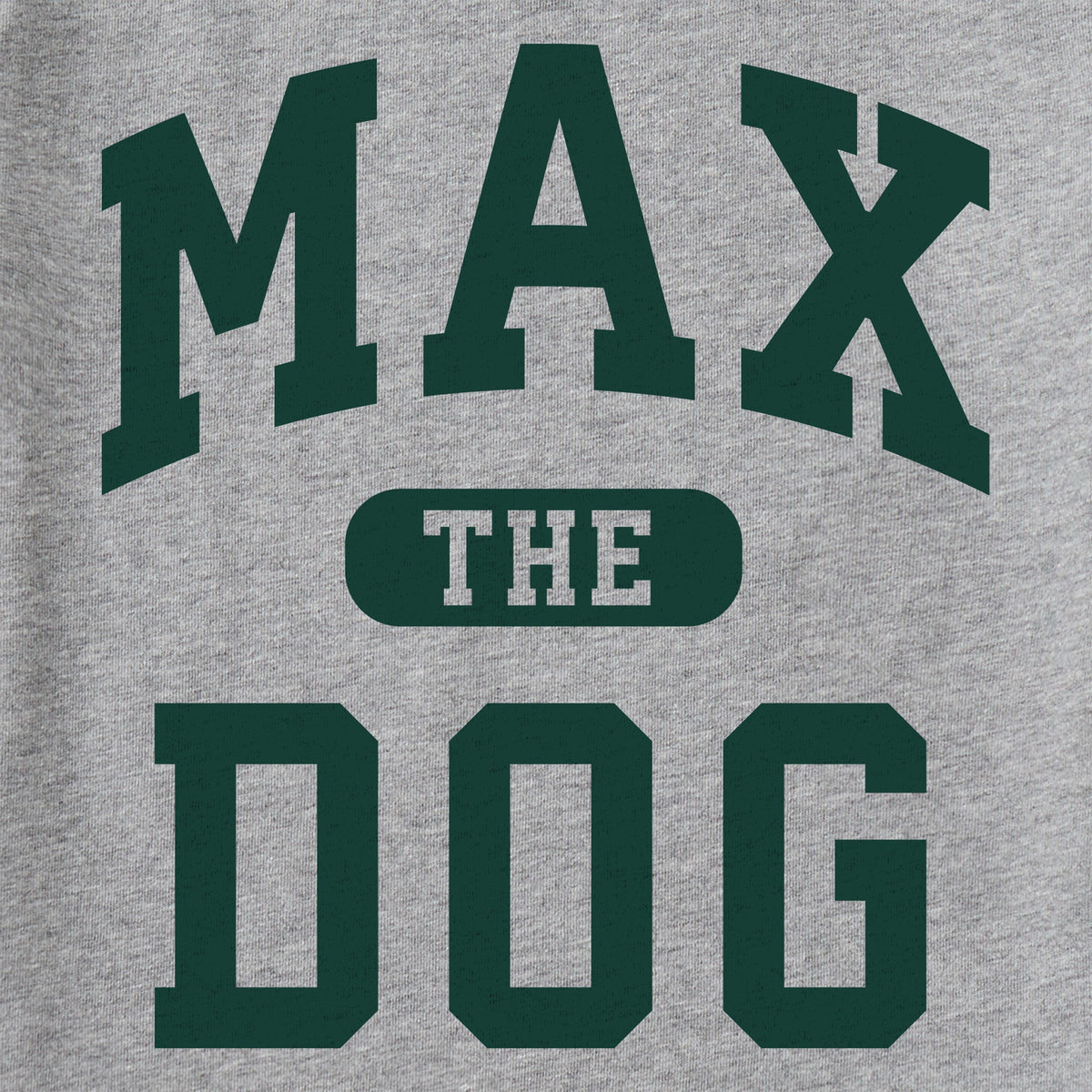 Kids Max the Dog Arch Long Sleeve Crusher Tee product image 2