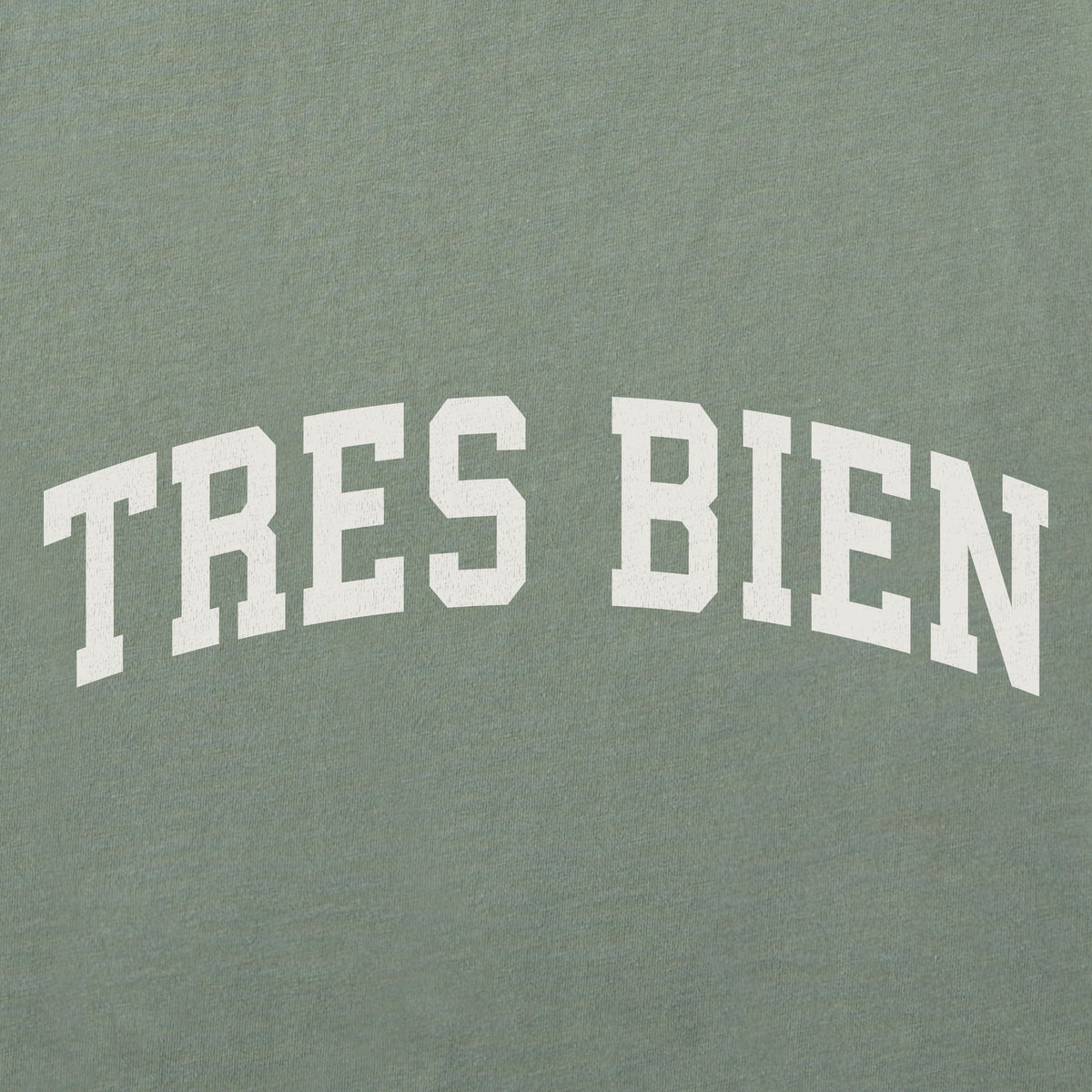 Women's Tres Bien Arch Short Sleeve Crusher Tee product image 2