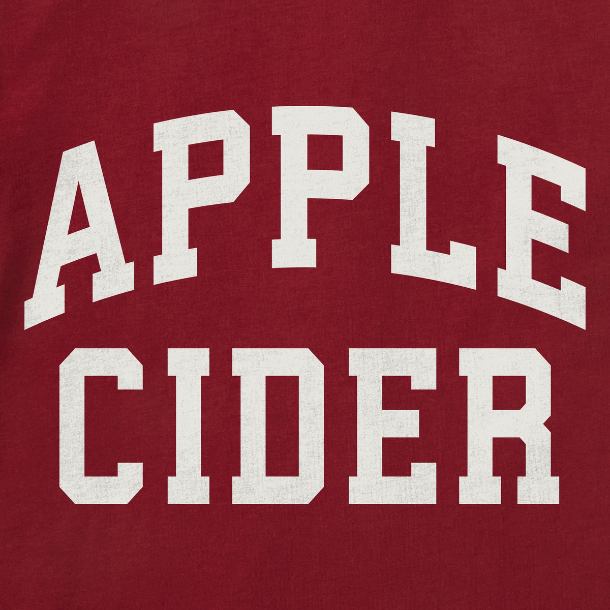 Kids Apple Cider Arch Long Sleeve Crusher Tee product image 2