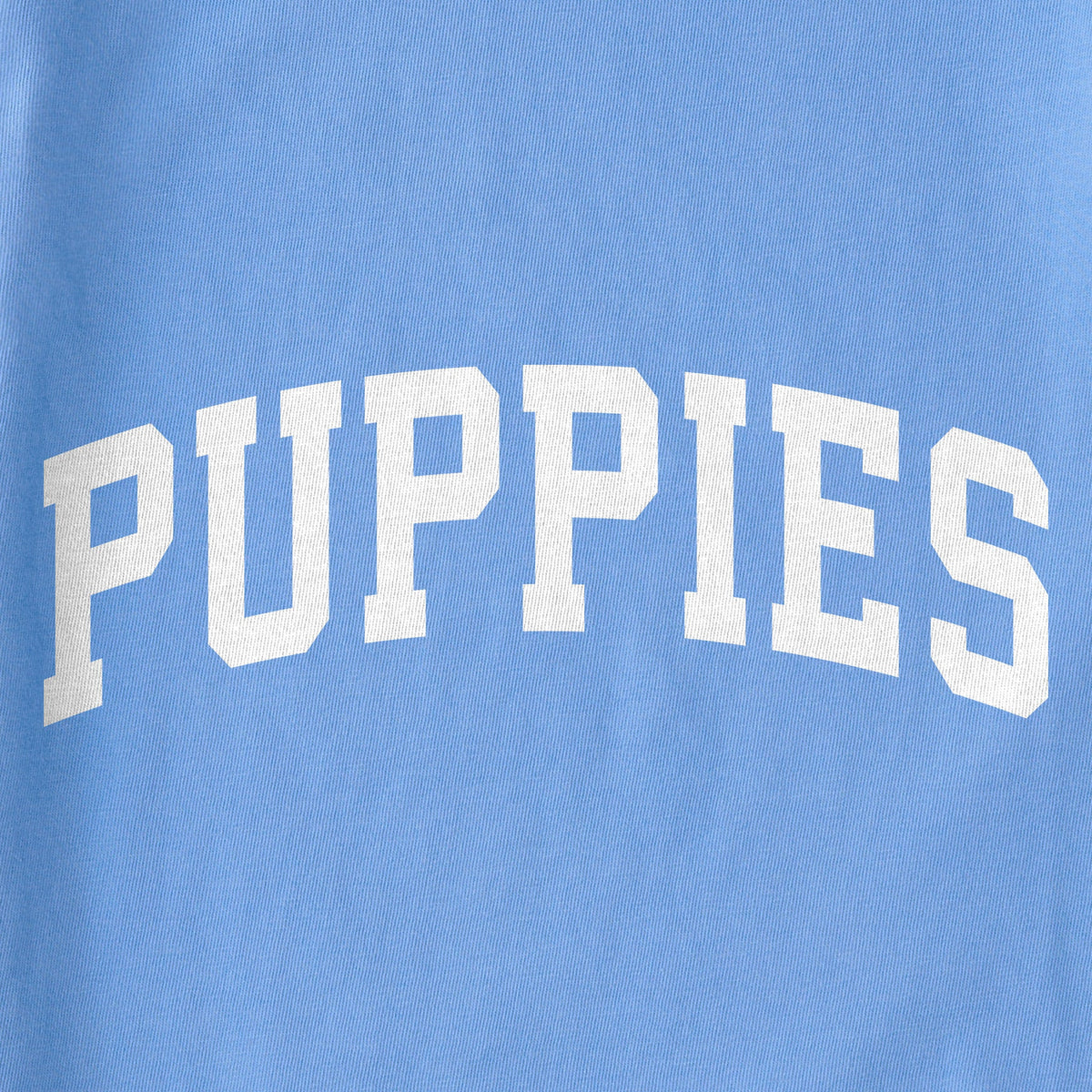 Kids Puppies Arch Short Sleeve Crusher Tee product image 2