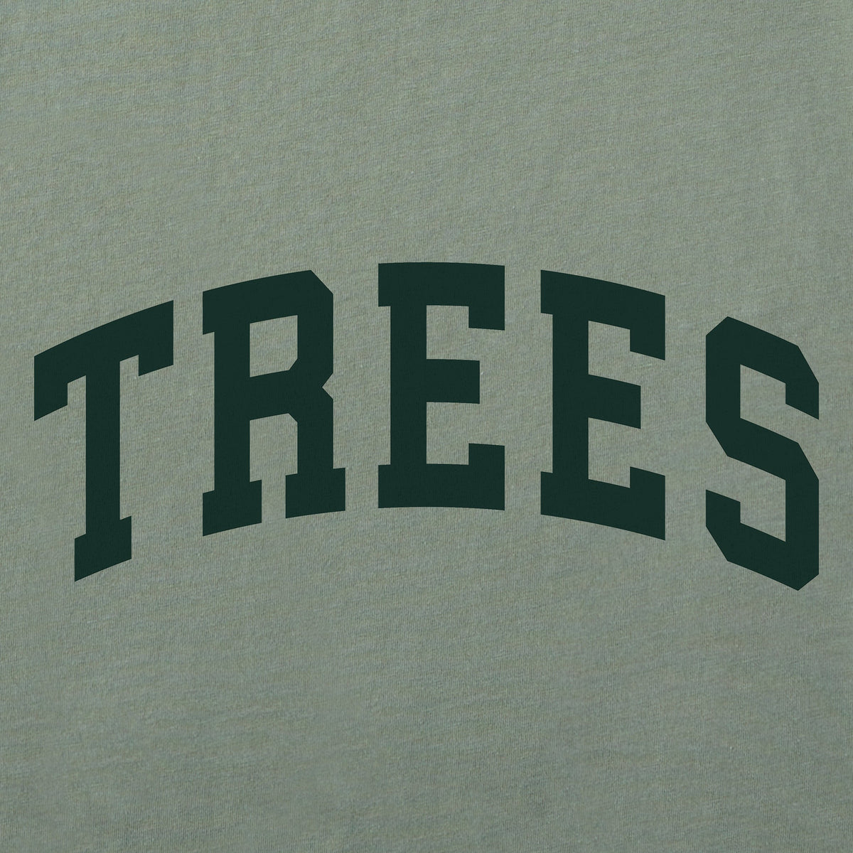 Women's Trees Arch Short Sleeve Crusher Tee product image 2