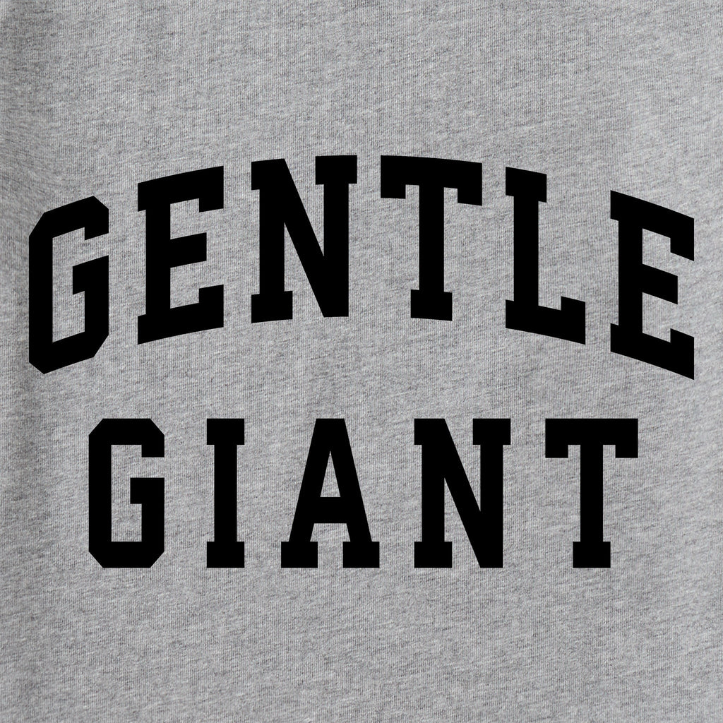 Men's Gentle Giant Arch Long Sleeve Crusher Tee product image 2