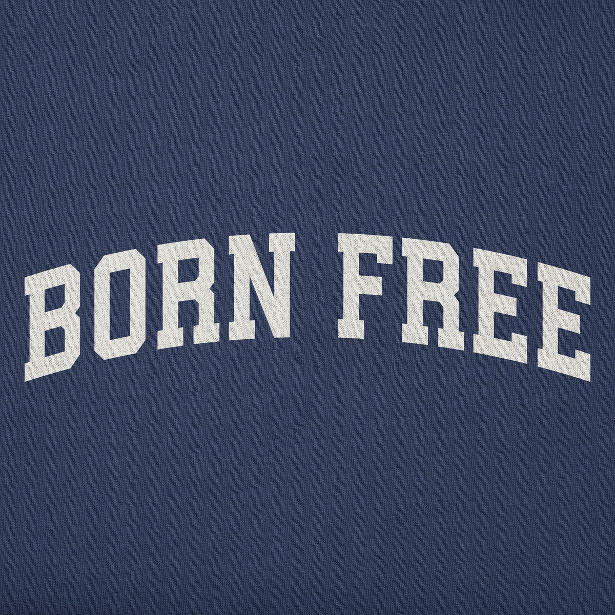 Men's Born Free Arch Long Sleeve Crusher Tee product image 2