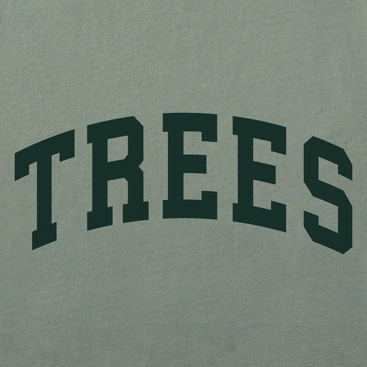 Men's Trees Arch Short Sleeve Crusher Tee product image 2