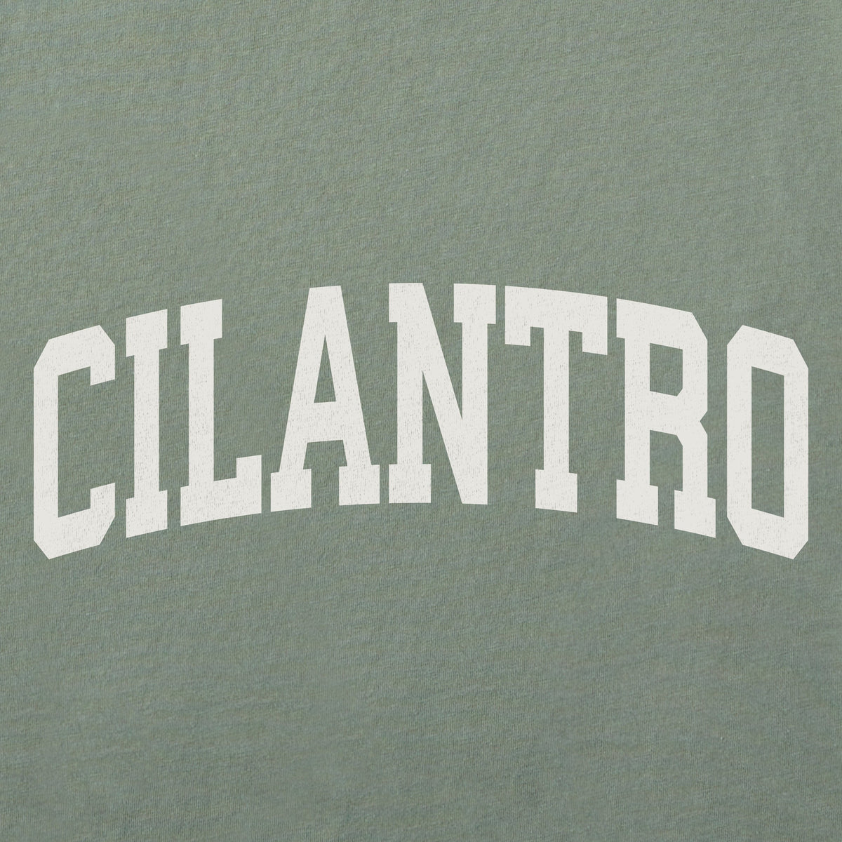 Men's Cilantro Arch Short Sleeve Crusher Tee product image 2