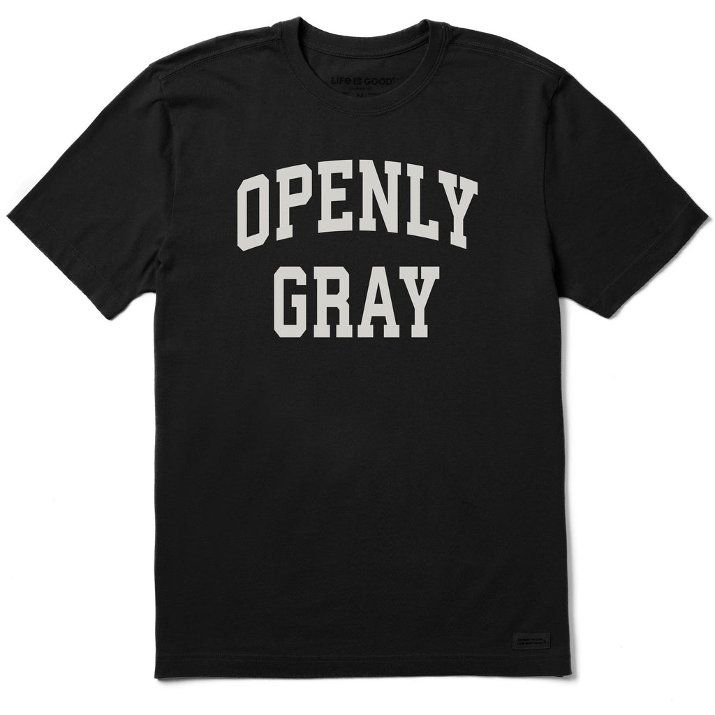 Men's Openly Gray Arch Short Sleeve Crusher Tee product image 1