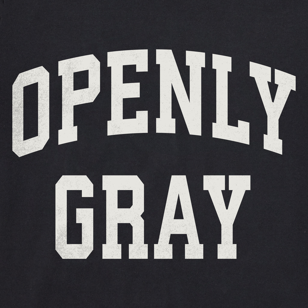 Men's Openly Gray Arch Short Sleeve Crusher Tee product image 2