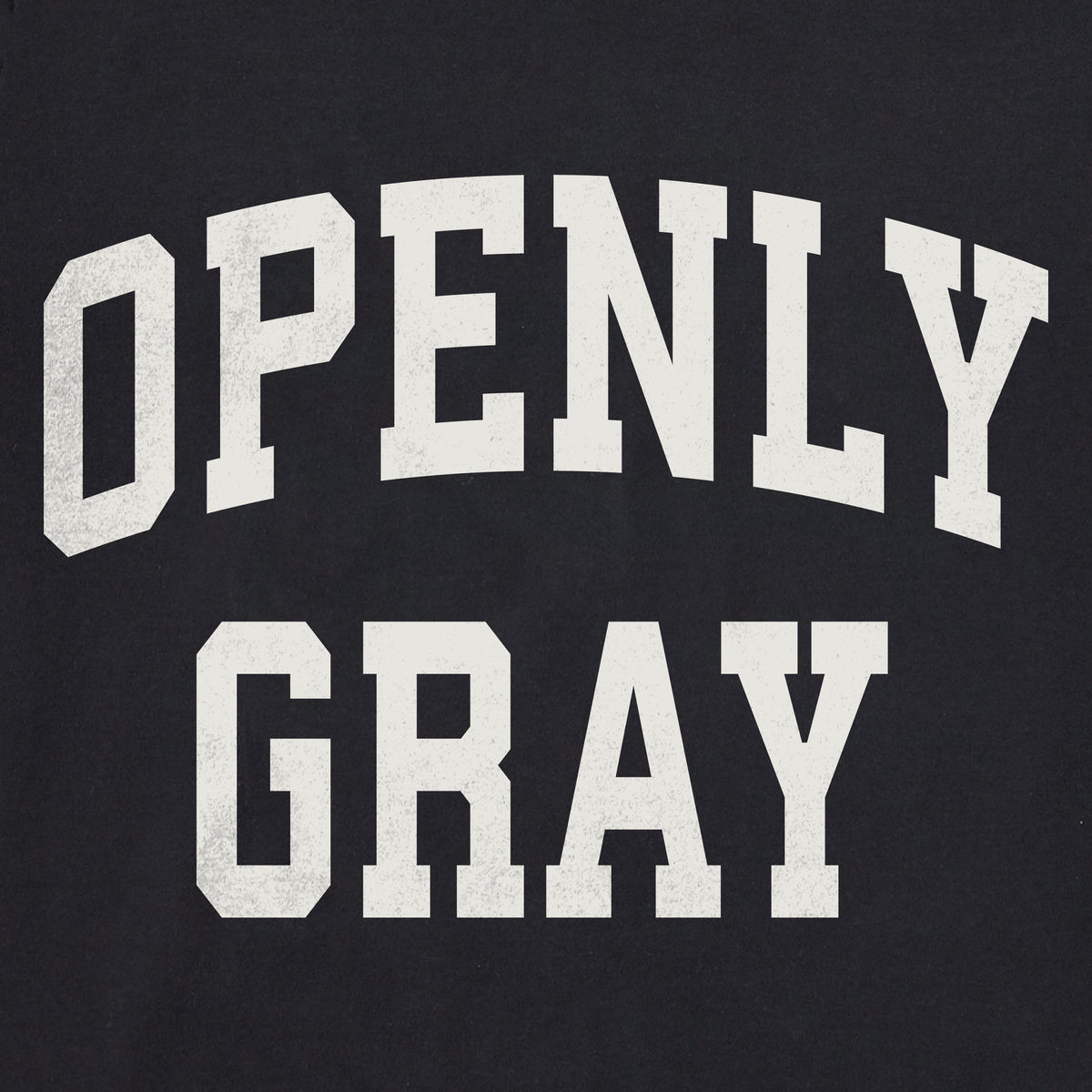 Men's Openly Gray Arch Short Sleeve Crusher Tee product image 2