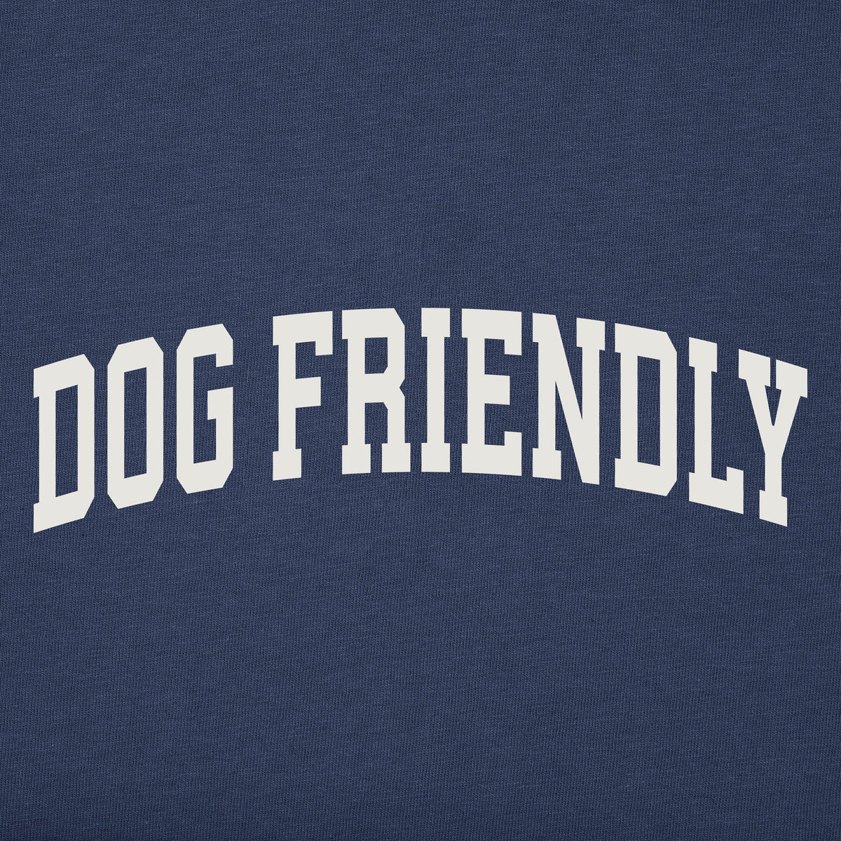 Women's Dog Friendly Arch Short Sleeve Crusher Boxy Tee product image 2