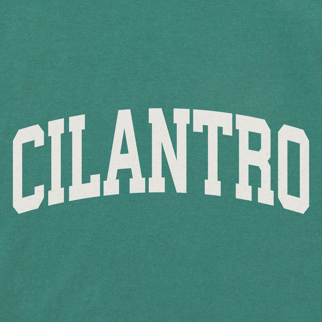 Women's Cilantro Arch Short Sleeve Crusher Boxy Tee product image 2