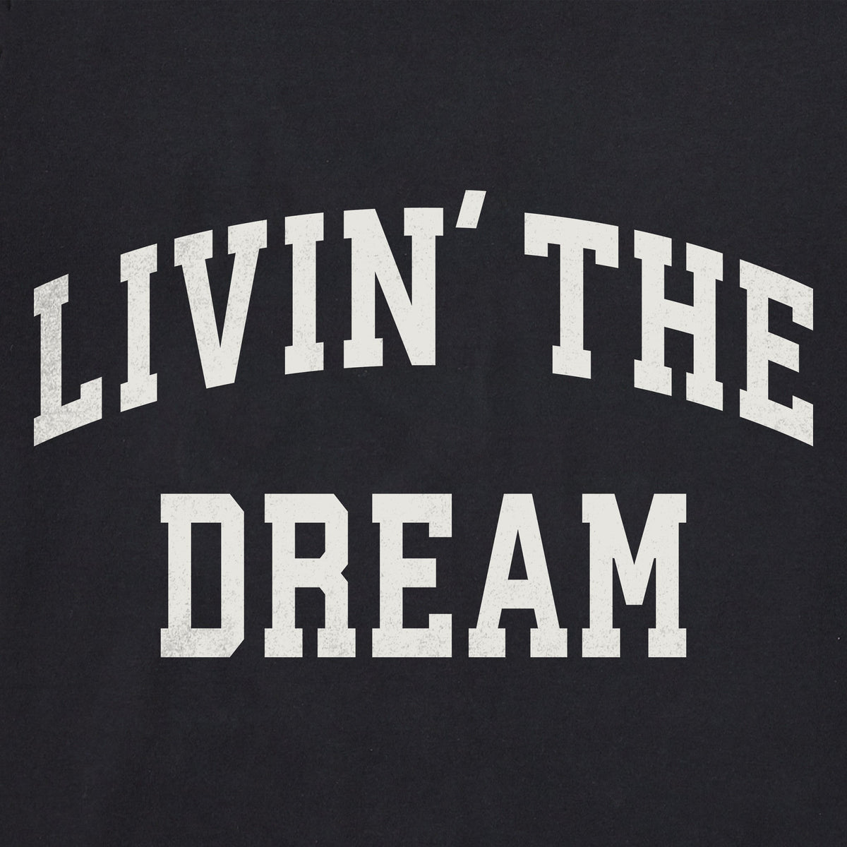 Men's Livin' the Dream Arch Short Sleeve Crusher Tee product image 2