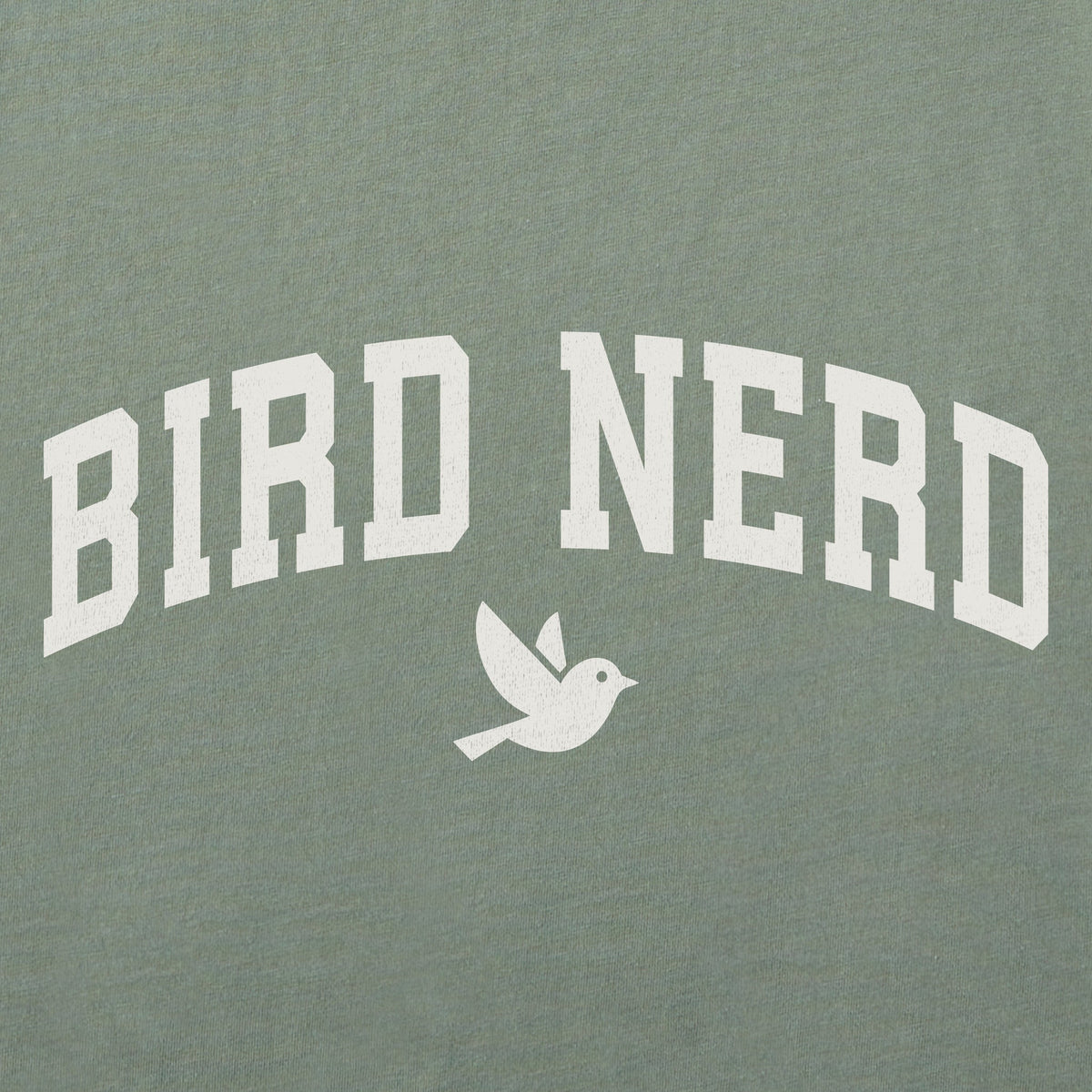 Men's Bird Nerd Arch Short Sleeve Crusher Tee product image 2