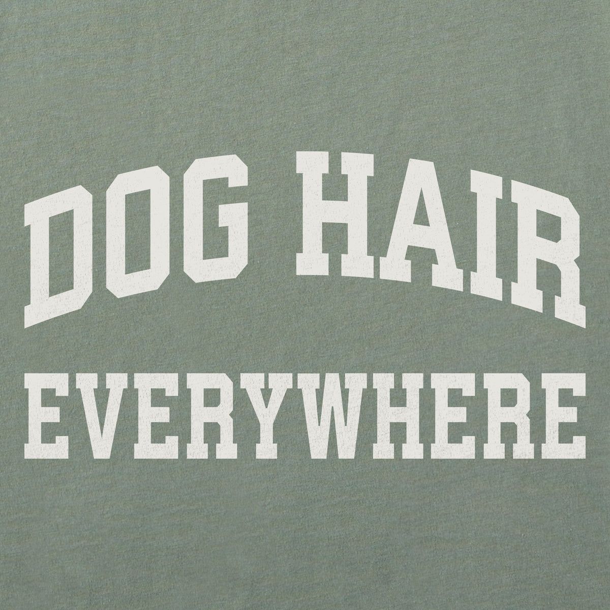 Men's Dog Hair Everywhere Arch Short Sleeve Crusher Tee product image 2