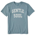 Men's Gentle Soul Arch Short Sleeve Crusher Tee product image 1