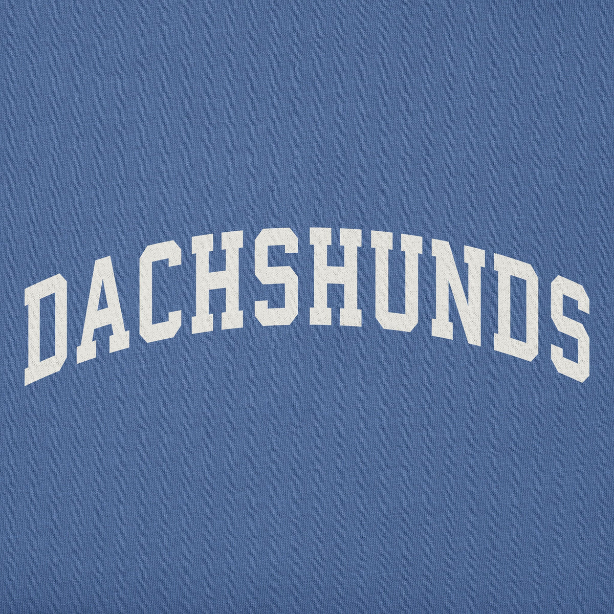 Men's Dachshunds Arch Short Sleeve Crusher Tee product image 2