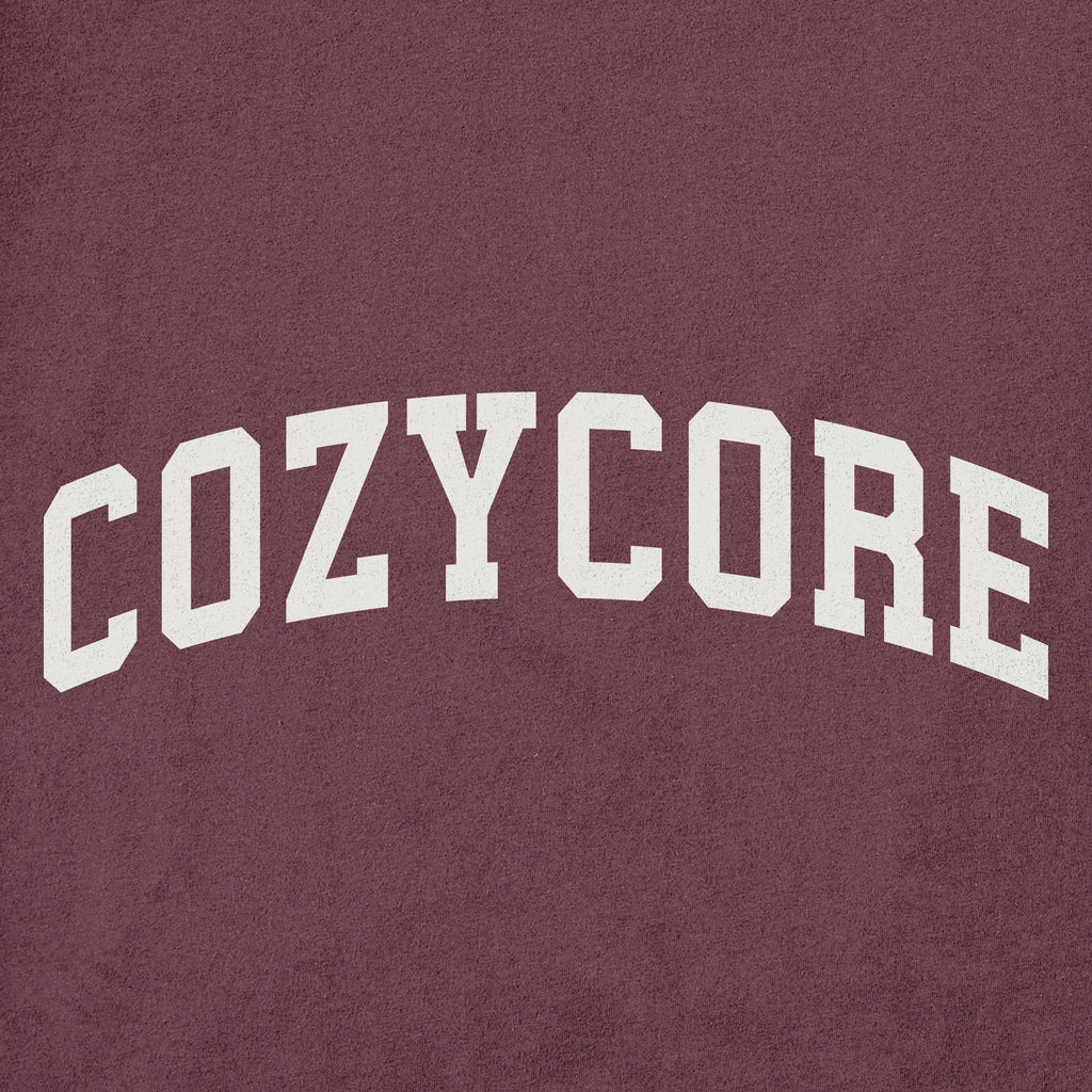 Men's Cozycore Arch Long Sleeve Crusher Tee product image 2