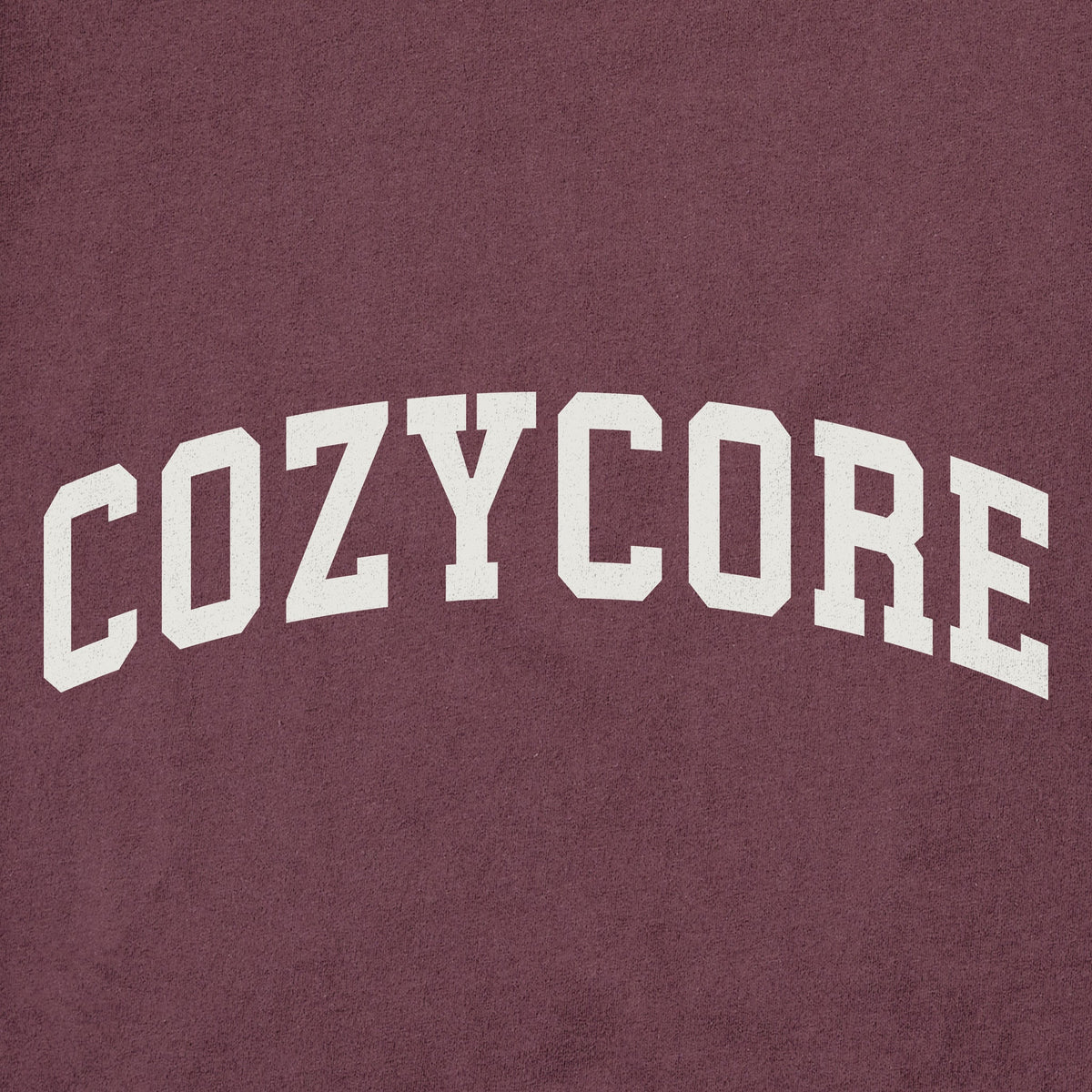 Men's Cozycore Arch Long Sleeve Crusher Tee product image 2
