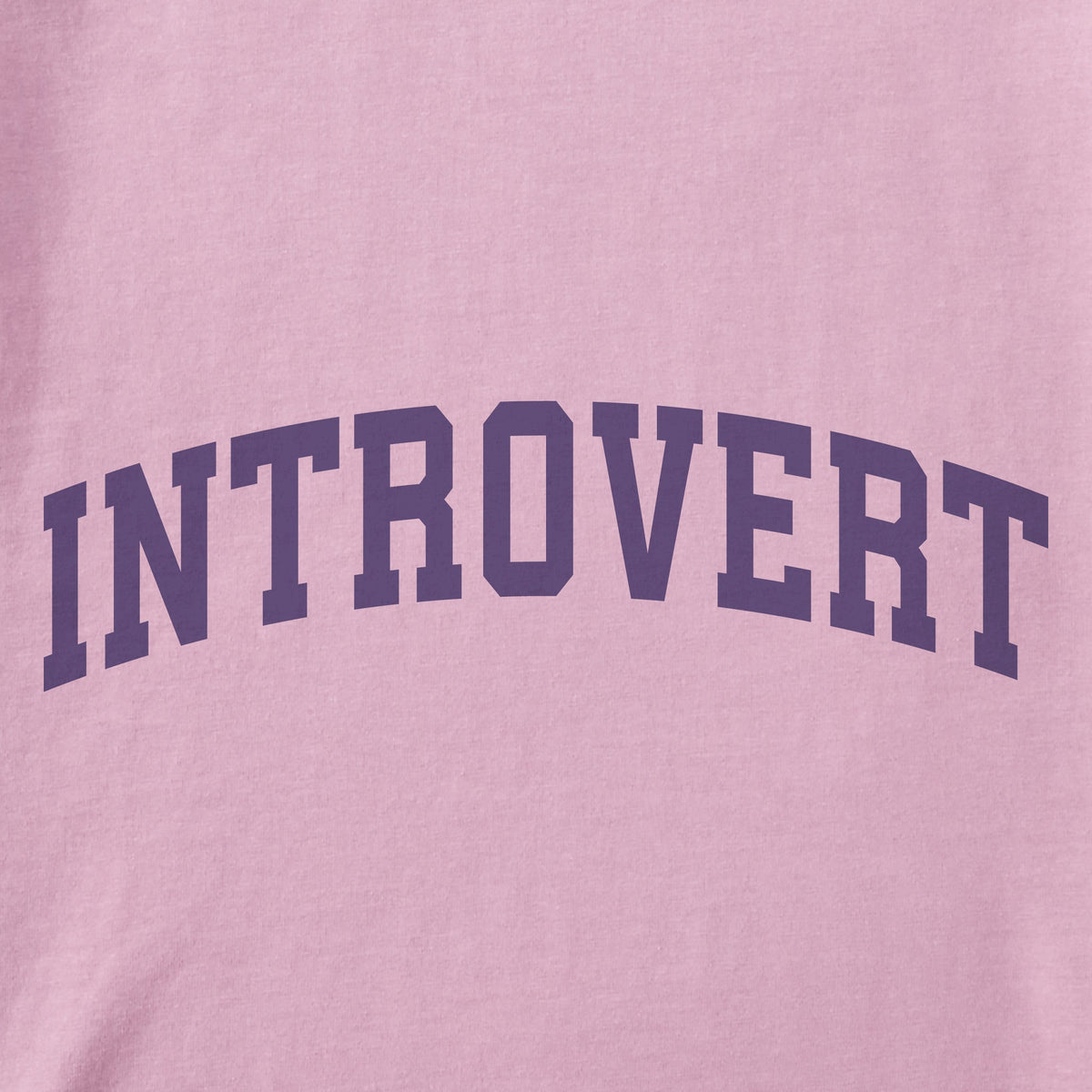 Women's Introvert Arch Short Sleeve Crusher Boxy Tee product image 2