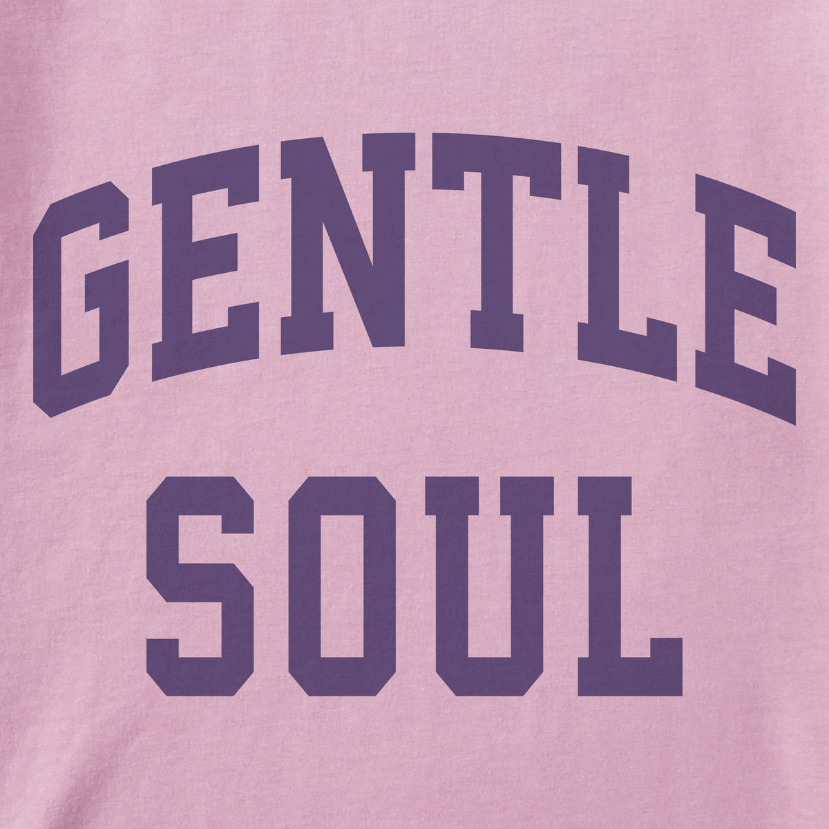 Women's Gentle Soul Arch Short Sleeve Crusher Vee product image 2