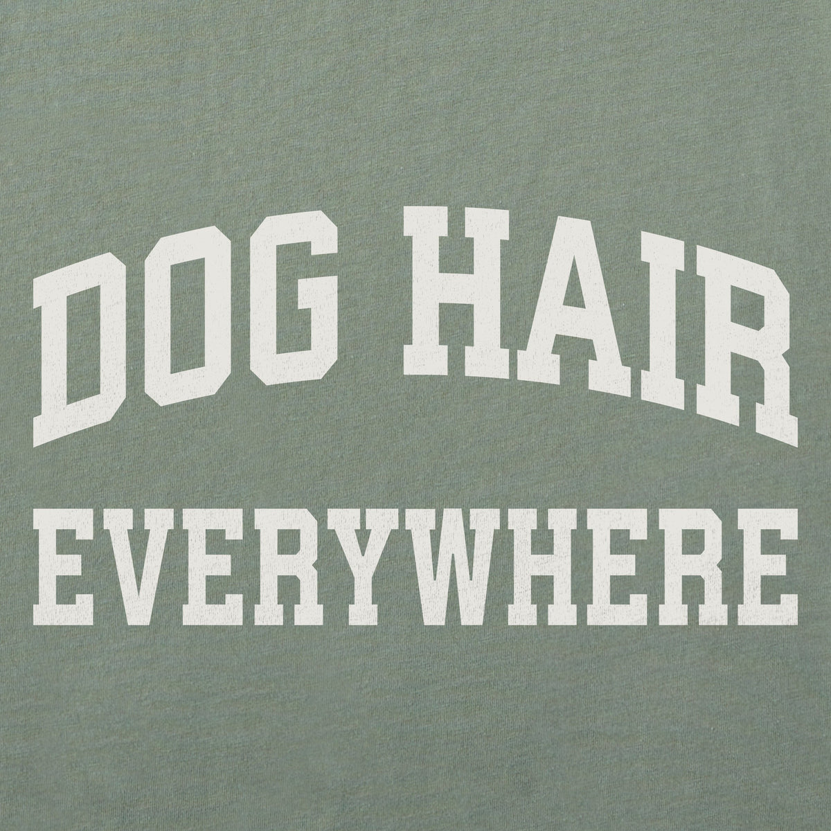 Women's Dog Hair Everywhere Arch Short Sleeve Crusher Tee product image 2