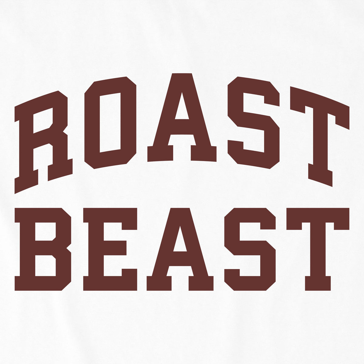 Men's Roast Beast Arch Short Sleeve Crusher Tee product image 6