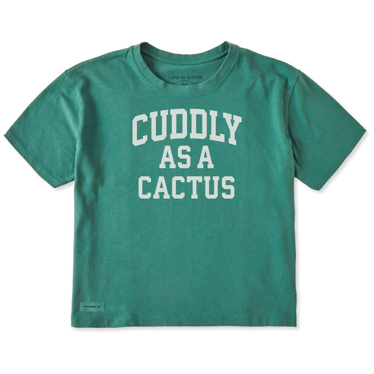 Women's Cuddly as a Cactus Arch Short Sleeve Crusher Boxy product image 3